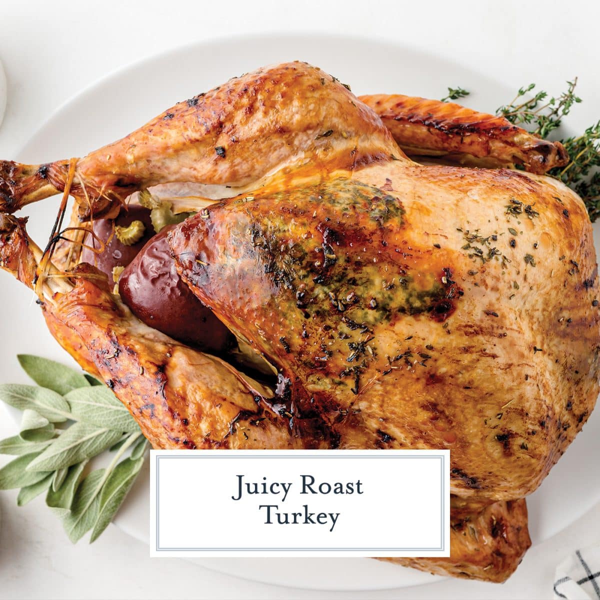 Brown Bag Herb Roasted Turkey