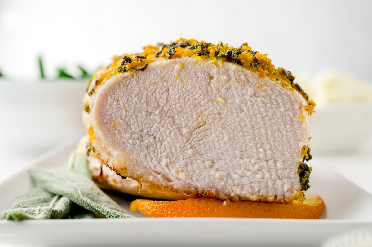 straight on shot of sliced turkey breast