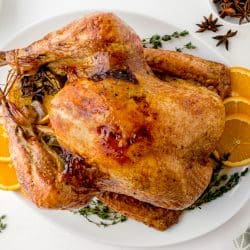 overhead shot of orange thyme turkey