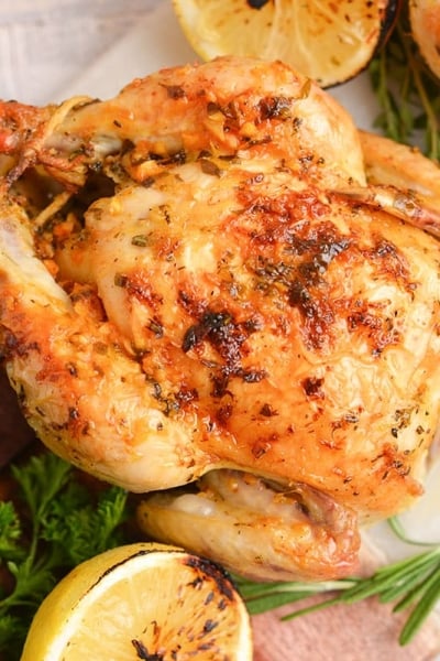 overhead of a roasted cornish hen