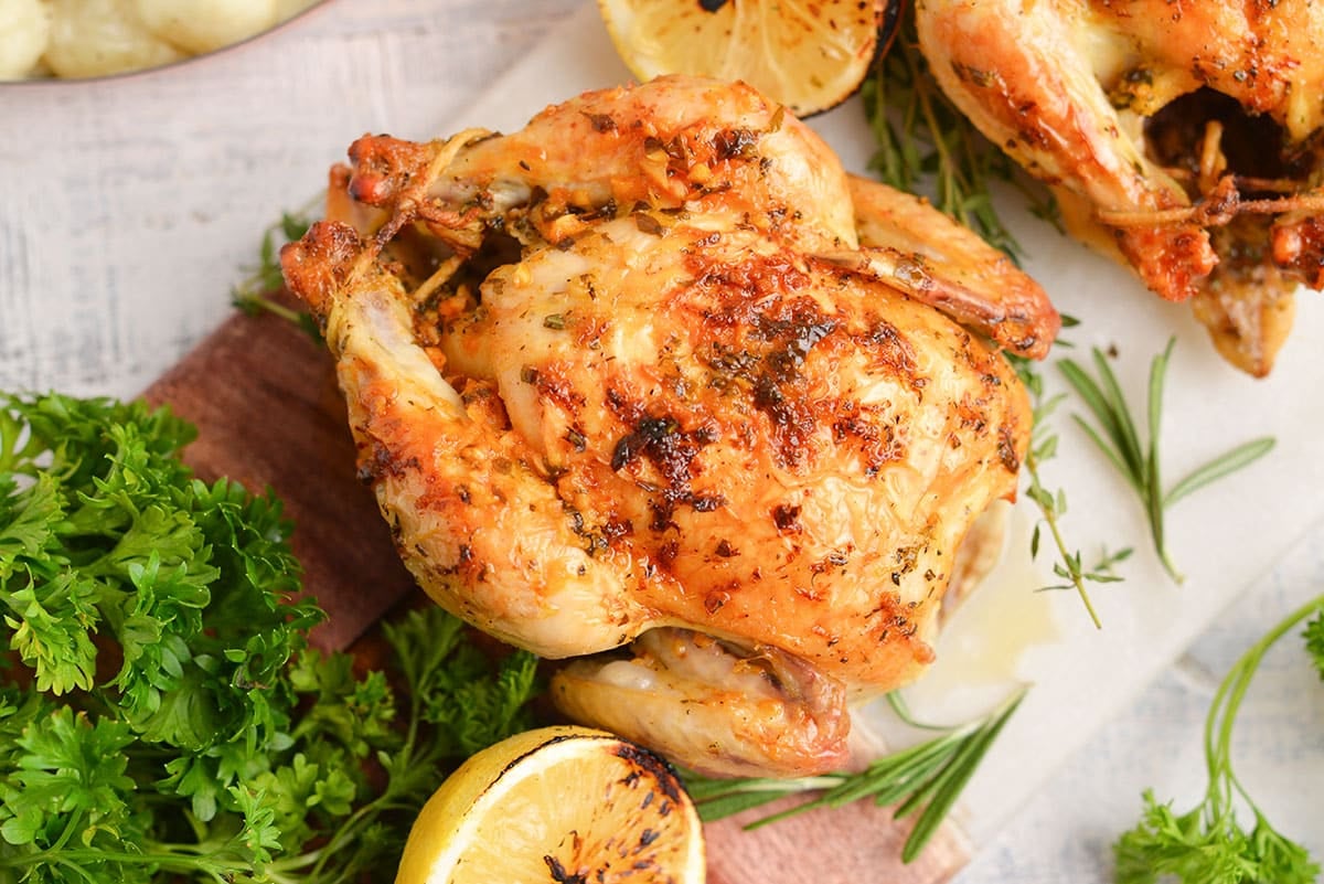 overhead of a roasted cornish hen