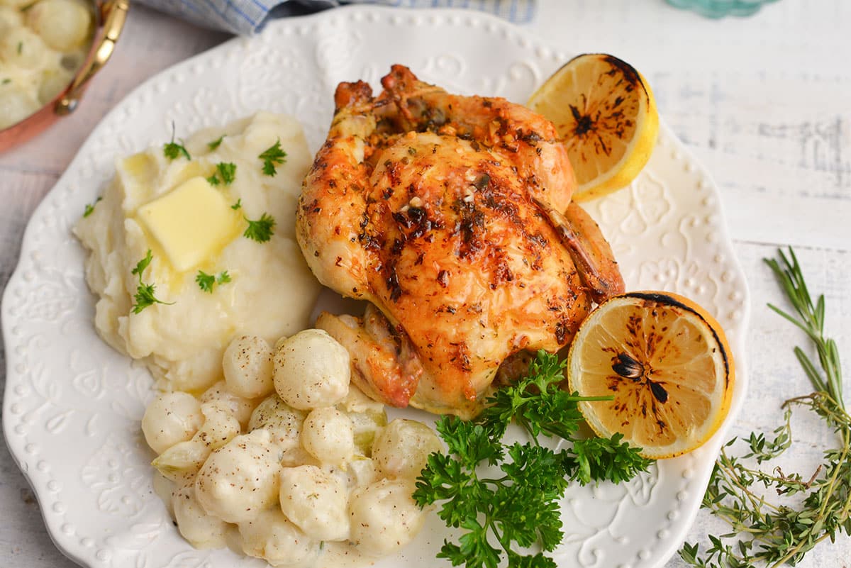overhead cornish hen with creamed onions with mashed poatoes