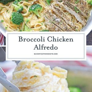 broccoli chicken alfredo recipe for pinterest