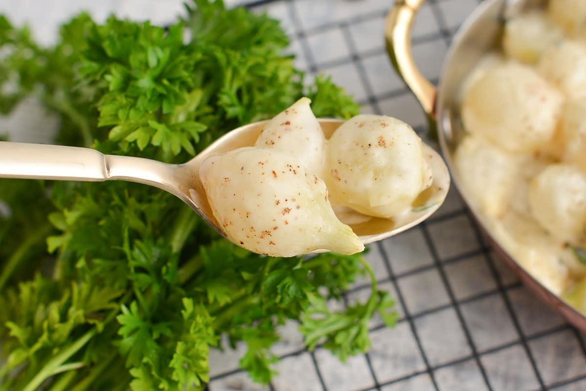 spoon with two creamed onions