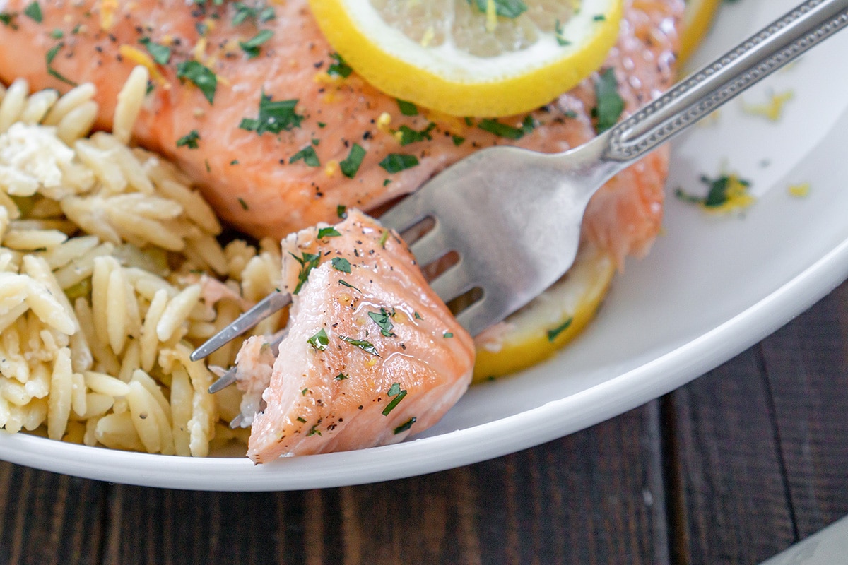 close up of a bite of cooked salmon