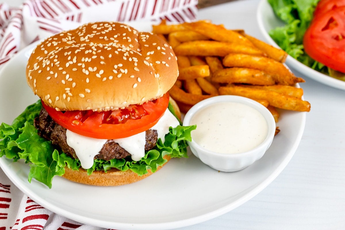 angled shot of burger and fries on a plate