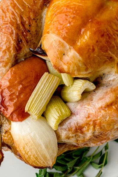 close up of a cooked turkey with apple, celery and onion stuffing
