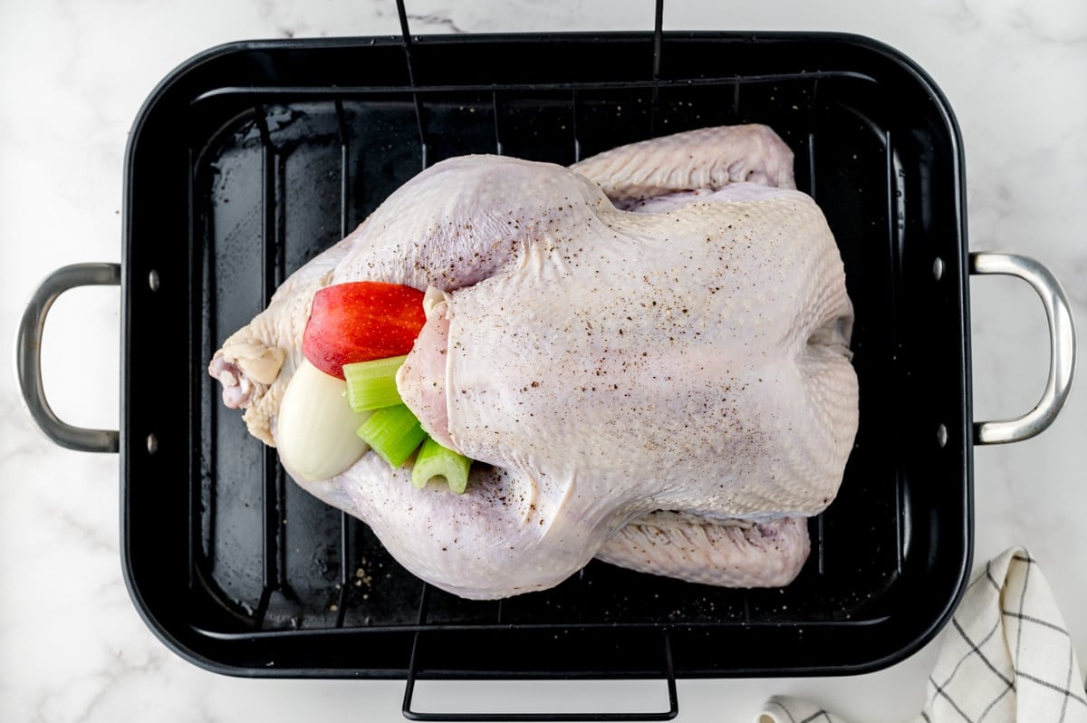 stuffed turkey in a roasting pan