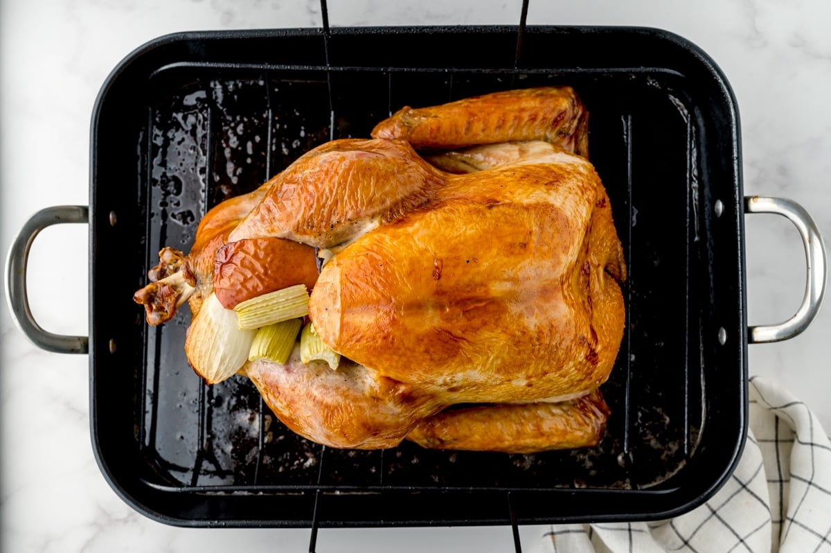 browned turkey in a roasting pan