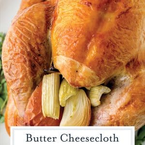 close up of a browned turkey with text overlay