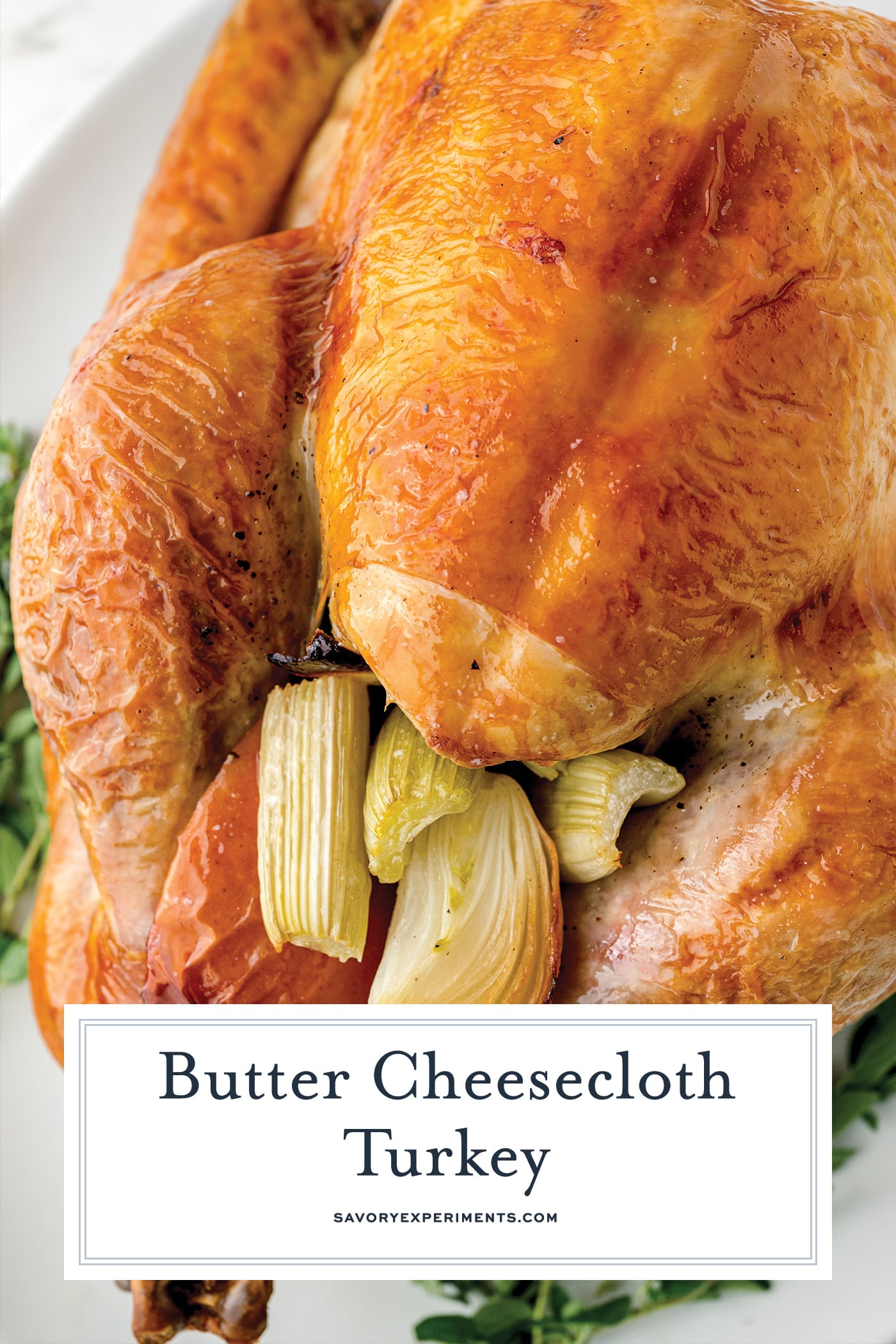 close up of a browned turkey with text overlay