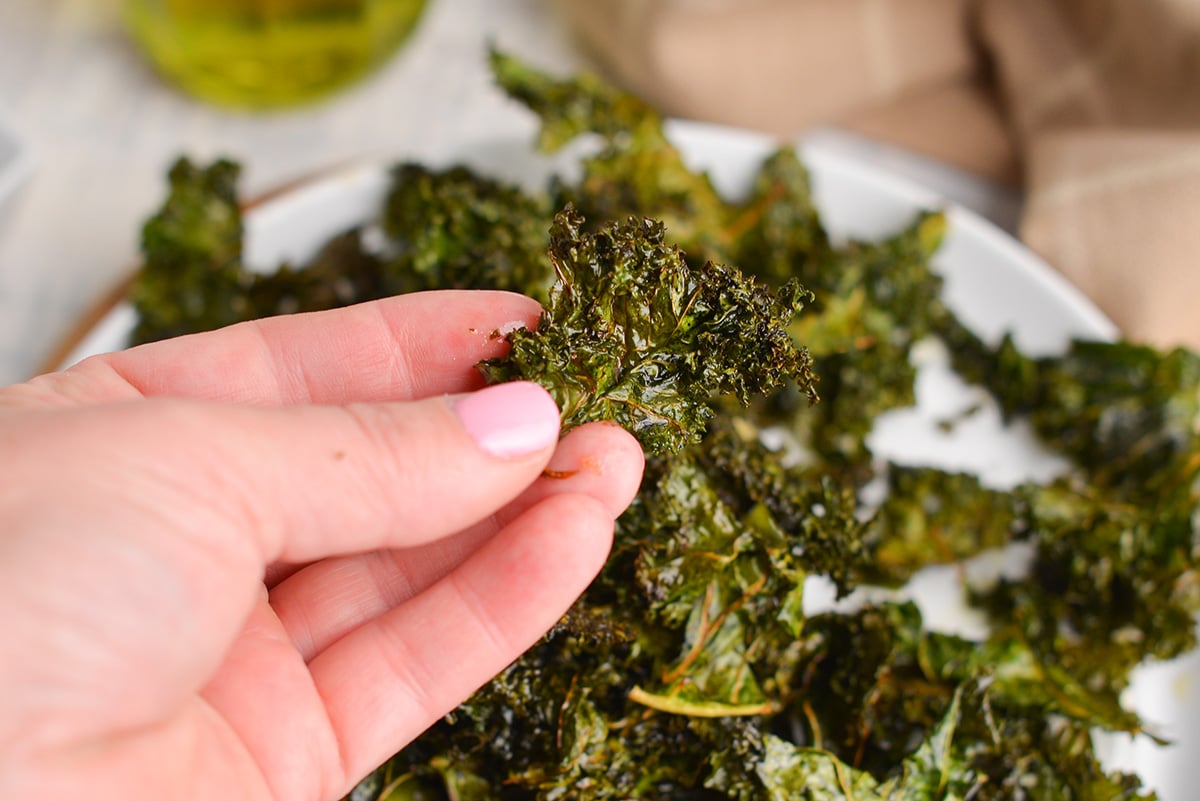 hand holding a baked kale chip