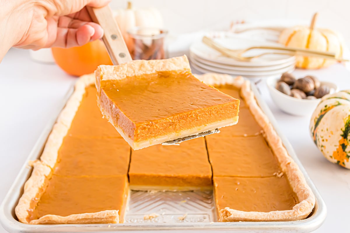 hand holding a slice of pie