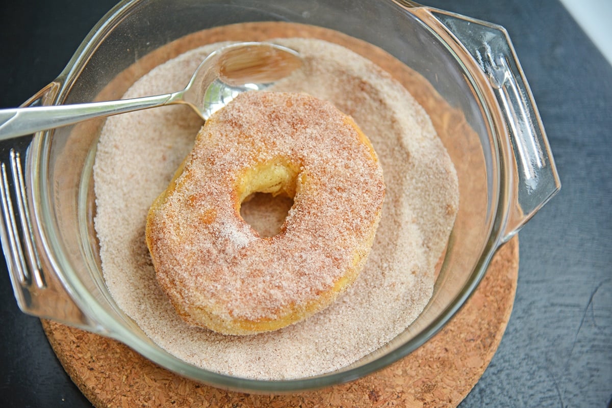 cinnamon sugar covered donut