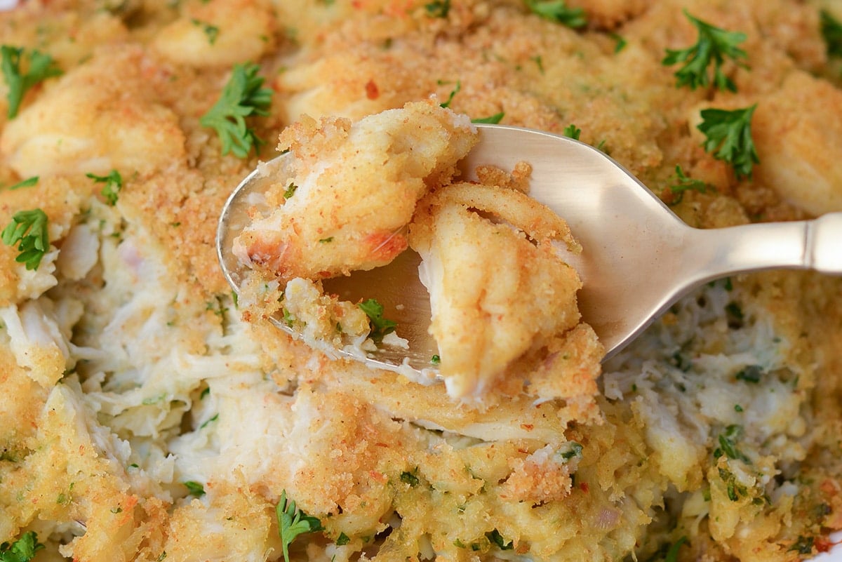 close up of large chunks of crab meat