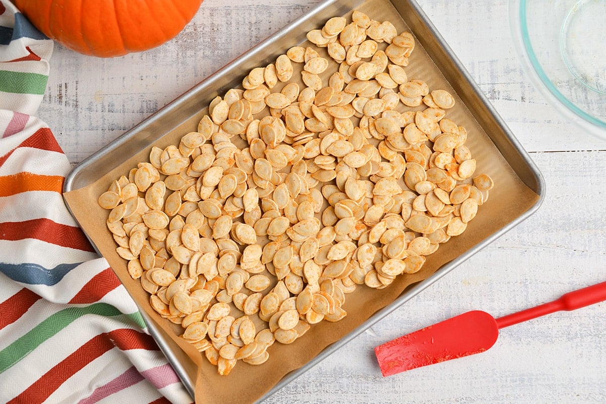 pumpkin seeds in a single layer on a rimmed baking sheet