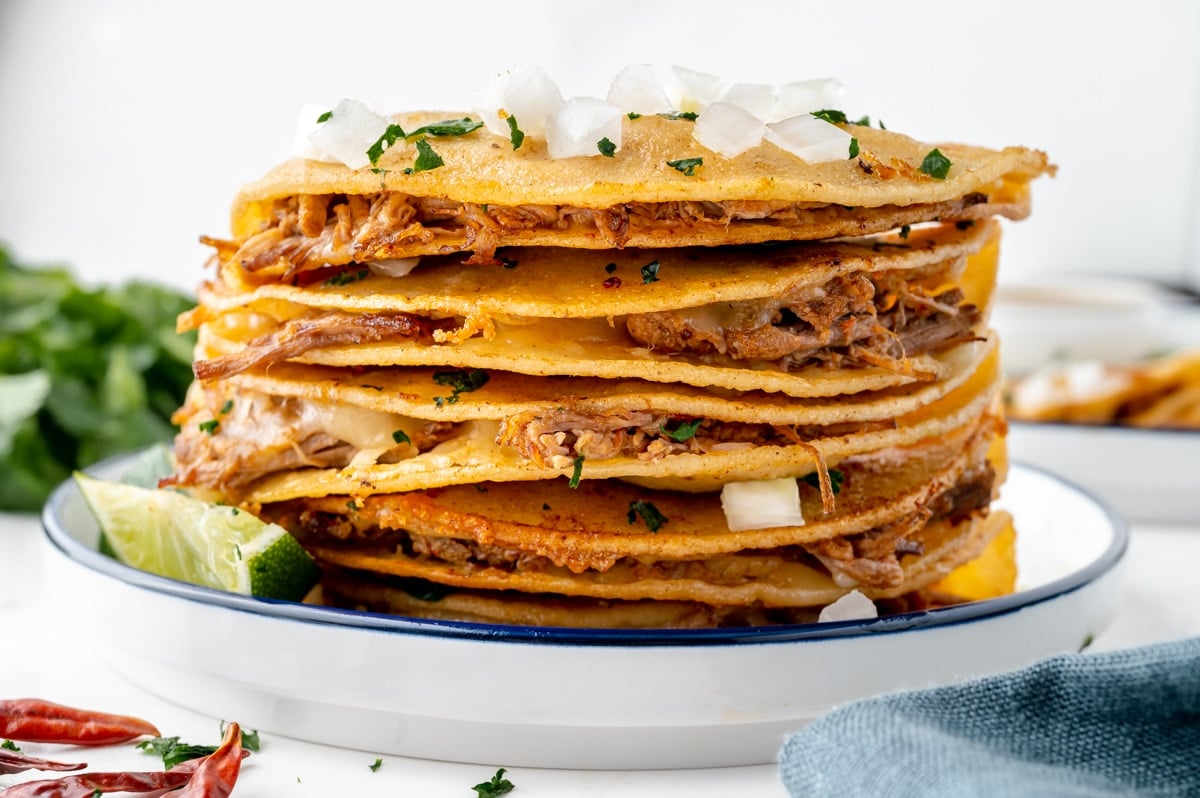 straight on shot of stack of birria tacos