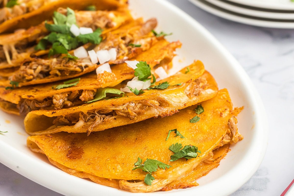 inside of chicken taco topped with cilantro and chopped onions