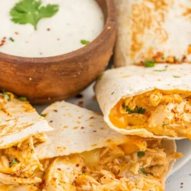 straight on shot of buffalo chicken quesadilla