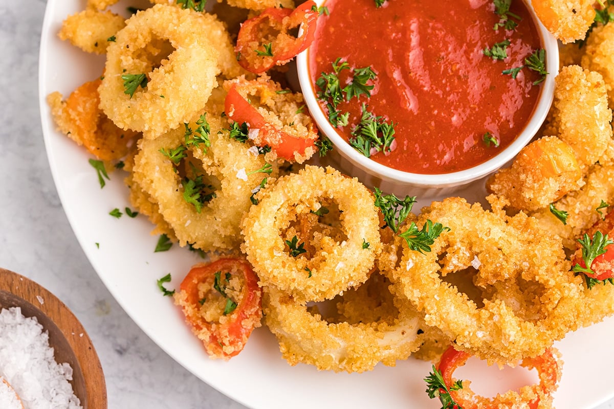 close up of plate with fried calamari and marinara