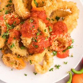 close up of marinara on calamri