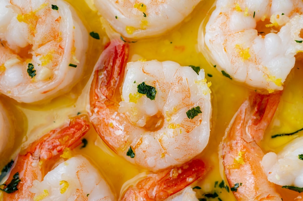 close up of brined shrimp in a pan
