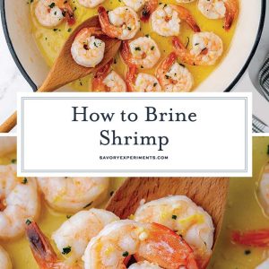 collage of how to brine shrimp for pinterest