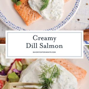 collage of dill salmon for pinterest