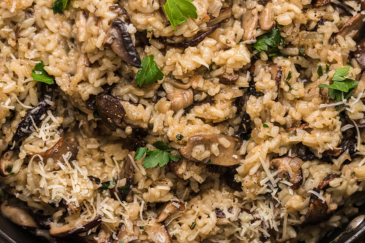 close up of mushroom risotto in a pan