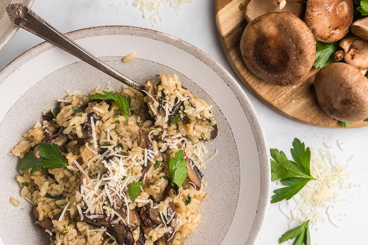 spoon in bowl of risotto