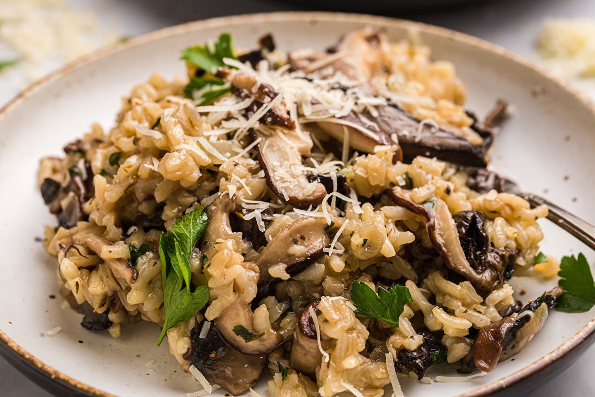 close up shot of plate of creamy risotto