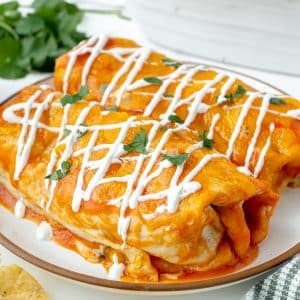 two enchiladas on a plate