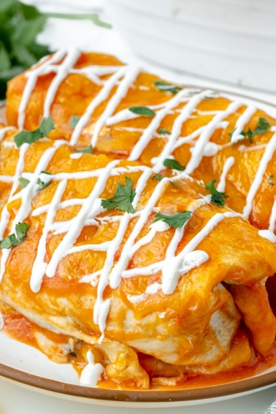 two enchiladas on a plate