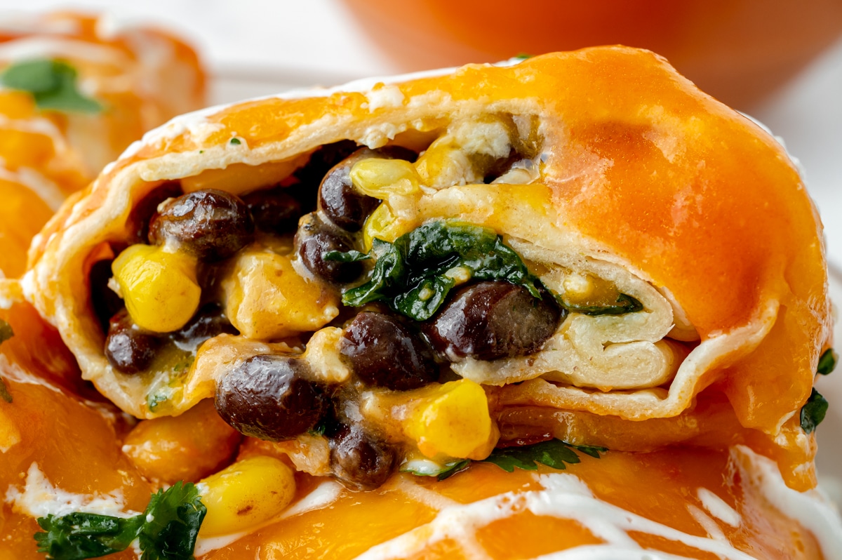 close up of chicken enchilada