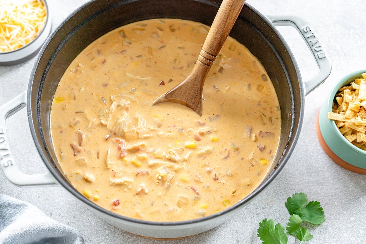 overhead shot of chicken taco soup in pot