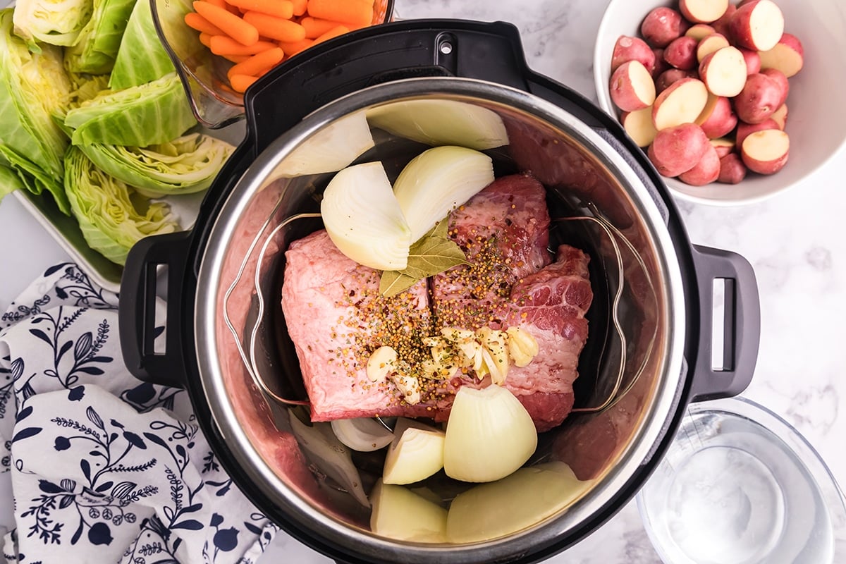 brisket, onion, garlic and seasonings in an instant pot