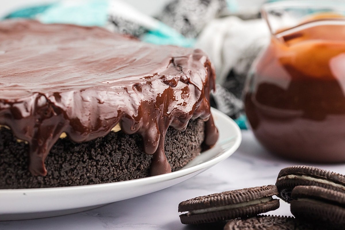 close up of ganache dip off of no bake peanut butter cheesecake