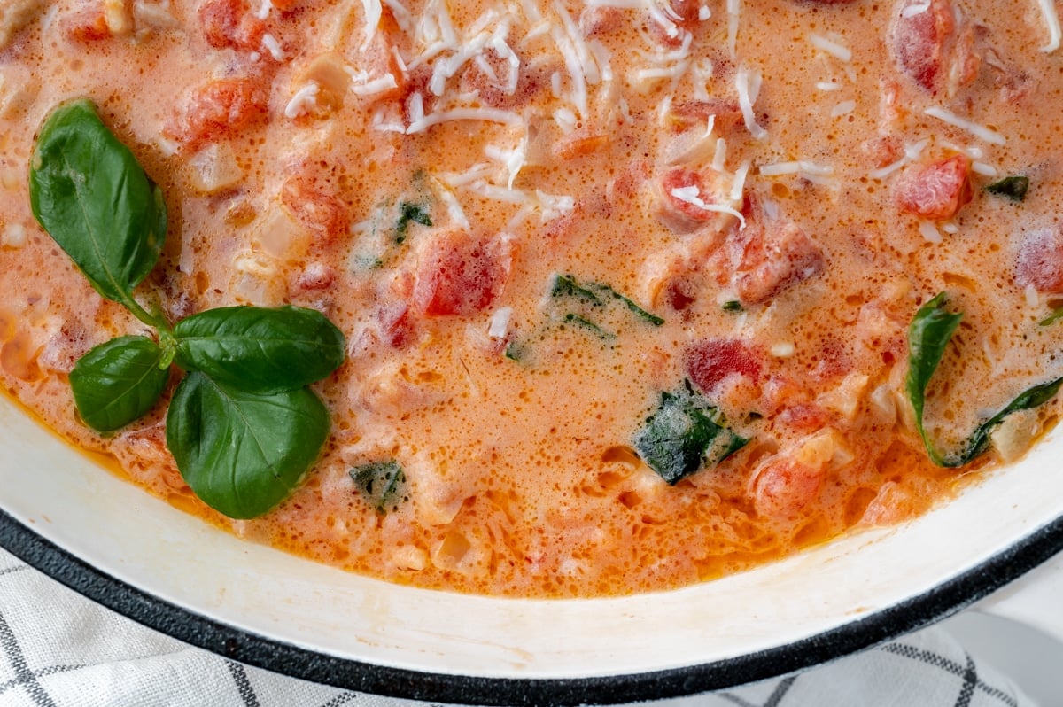 close up of vodka cream sauce