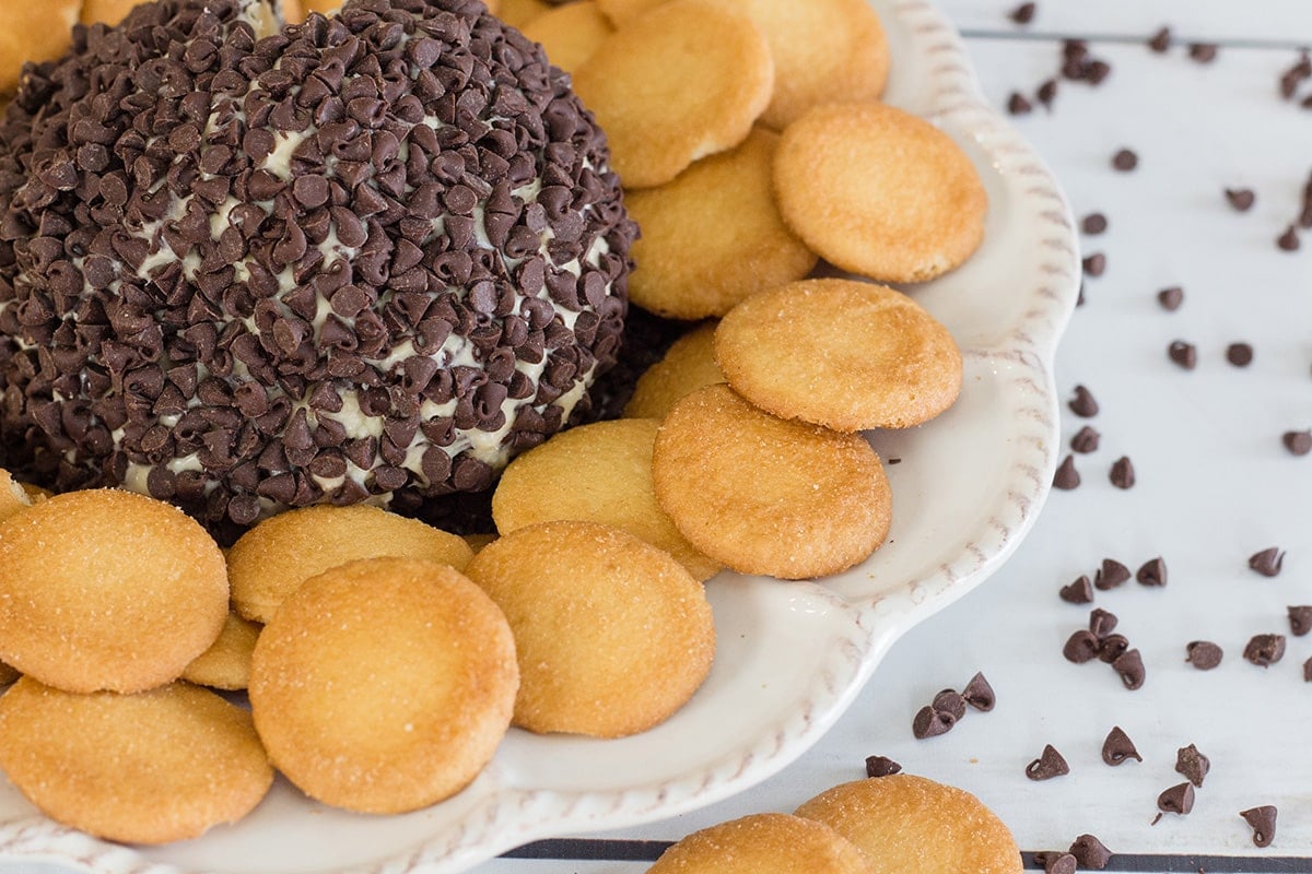 angled shot of chocolate chip cheese ball with nilla wafers