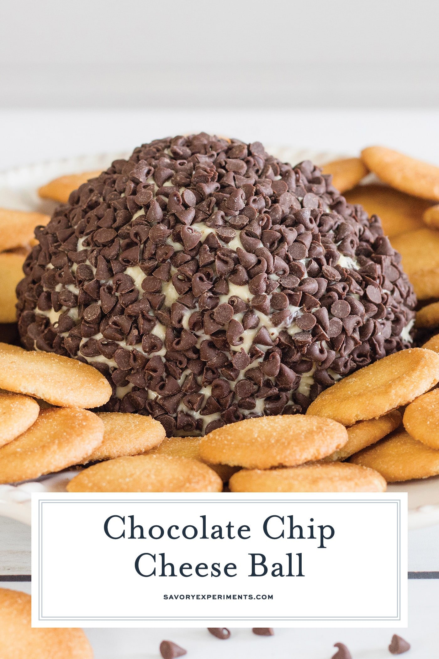 straight on shot of chocolate chip cheese ball with text overlay for pinterest