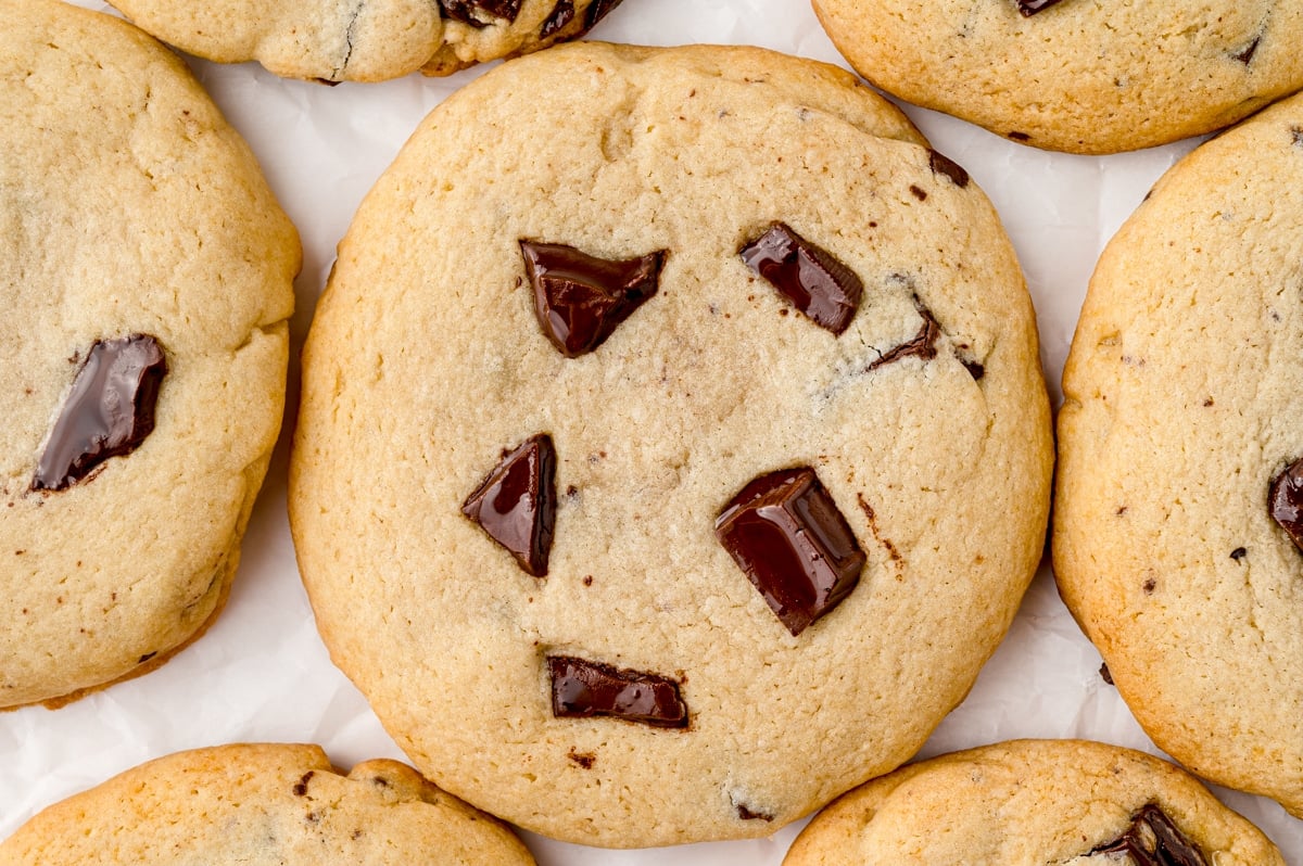 close up of a chocolate chunk cookie