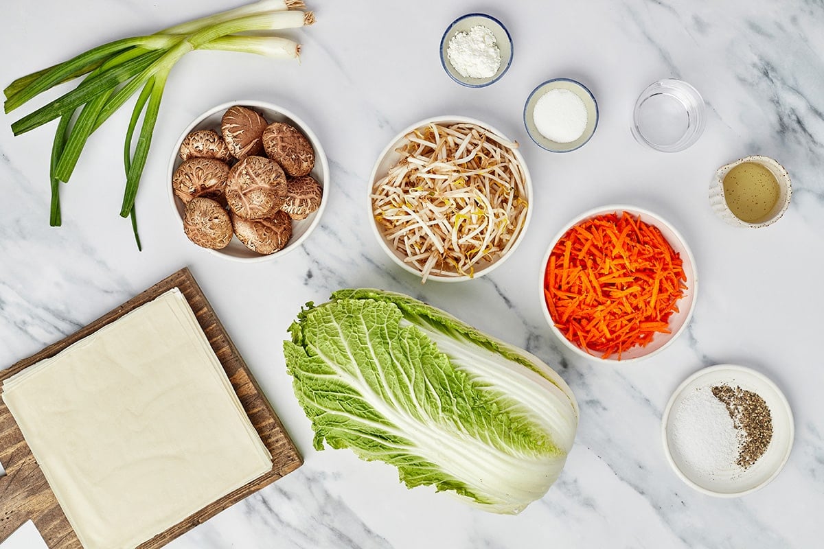 overhead shot of vegetable spring roll ingredients