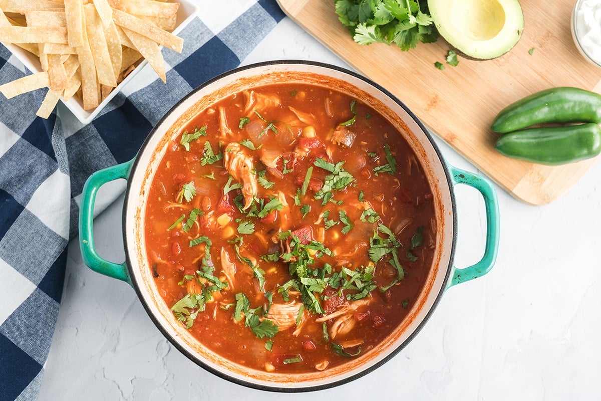 fresh cilantro on top of mexican-inspired soup