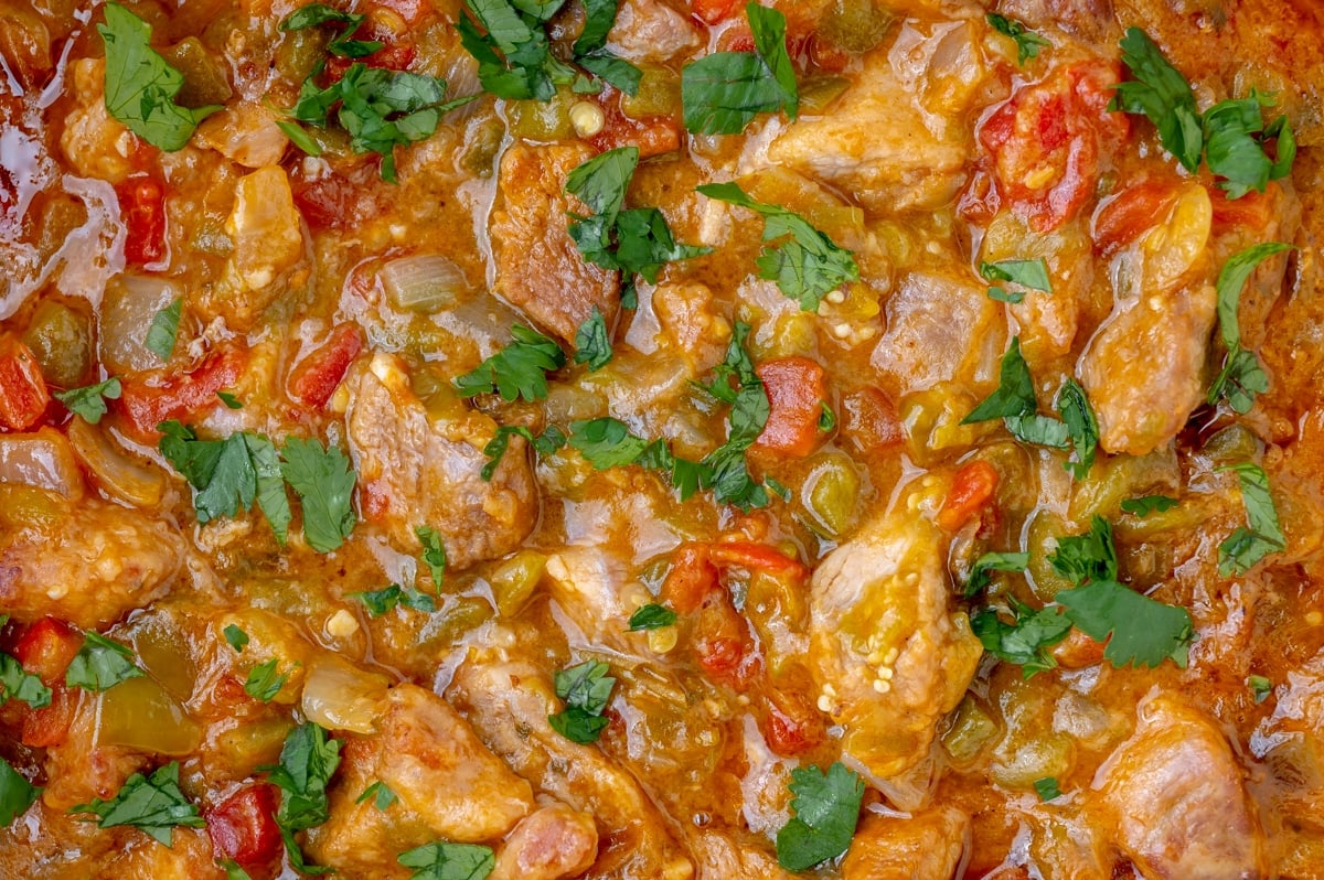 close up of pork chili verde in pot