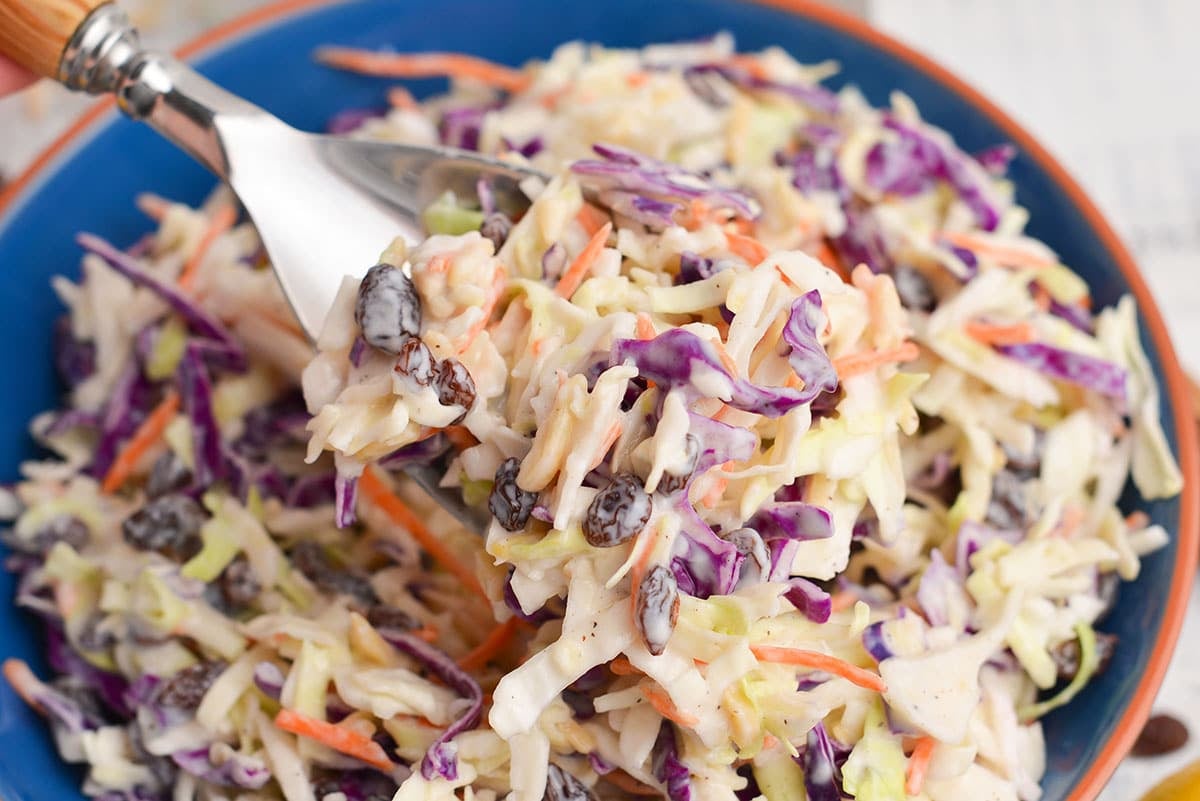 spoon full of creamy coleslaw