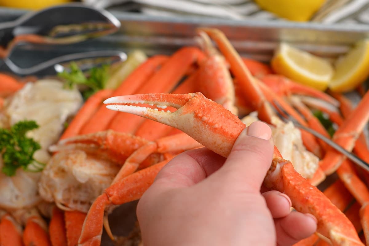 hand holding crab claw
