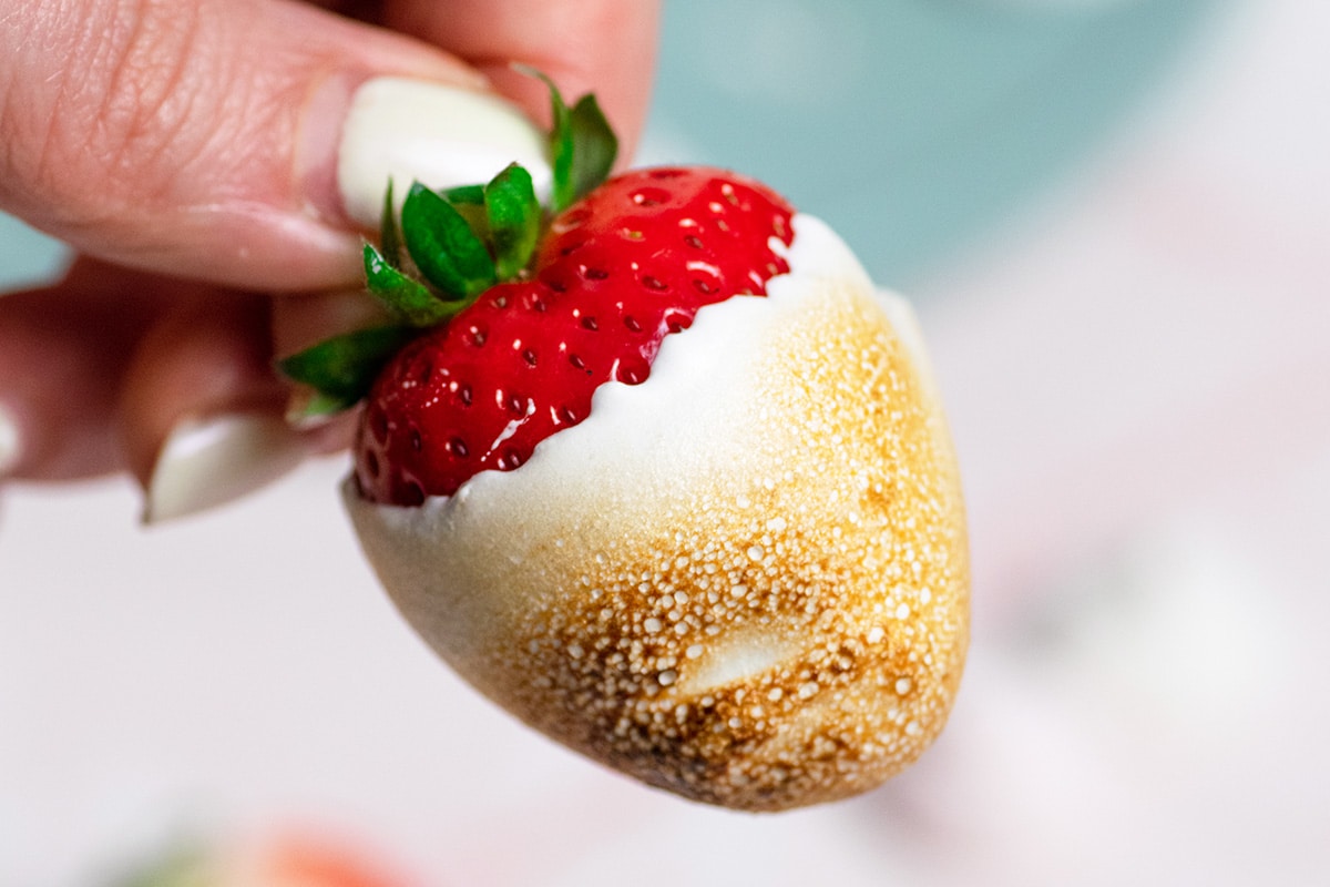 close up of hand holding toasted marshmallow strawberry