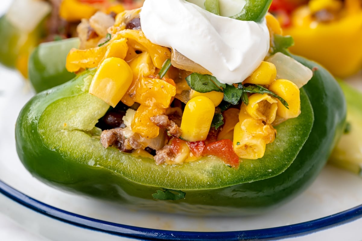 close up of mexican stuffed pepper