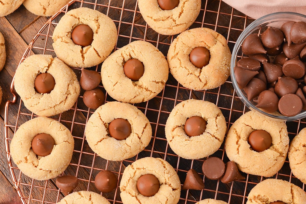 close up overhead shot of peanut butter blossom cookies on a cooling rack