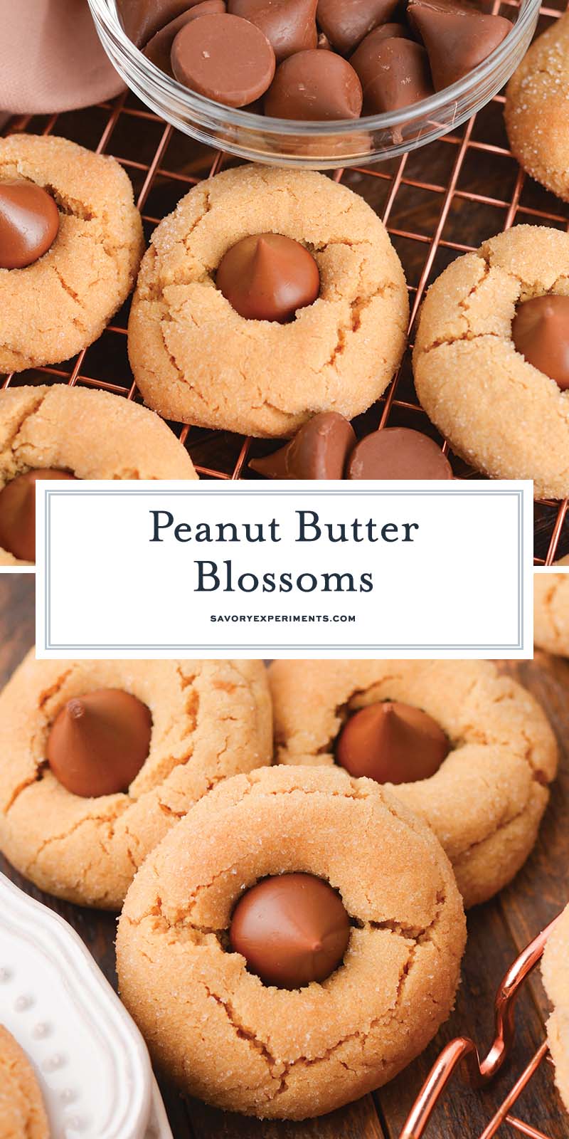 collage of peanut butter blossoms for pinterest